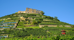 Weinanbaugebiet Baden – der Inbegriff von Vielfalt