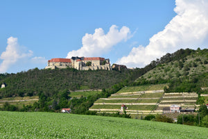 Saale-Unstrut Weinanbaugebiet