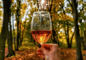 Herbstwein im Glas mit Laub und Wald im Hintergrund