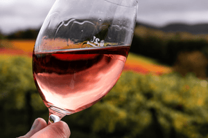 Roséwein im Glas