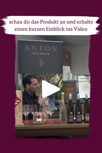 Videoausschnitt Weinprobe - Weingut Anton 